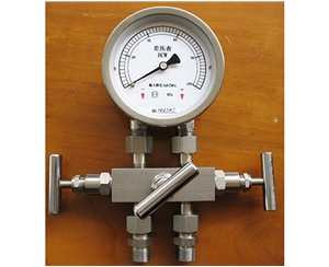 淮安差压表带三阀组